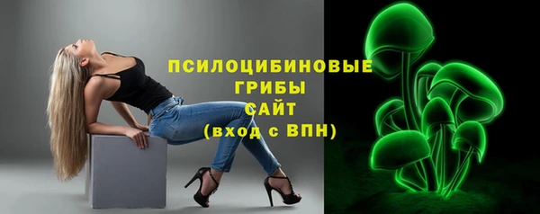 молекула духа Покачи