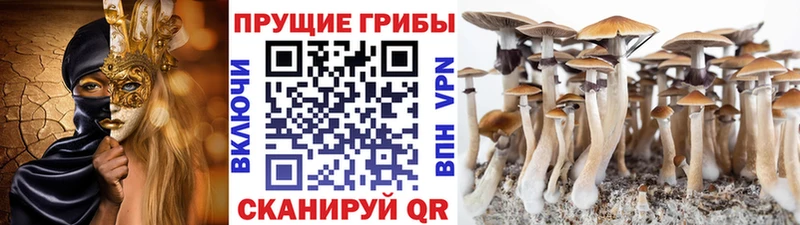 Псилоцибиновые грибы мицелий  нарко площадка клад  Афипский  omg ТОР 